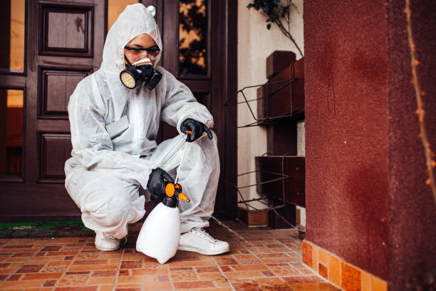Attic and Crawl Space Rodent Treatment in Ladonia
