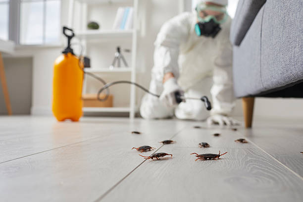 Commercial Rodent Management in Ladonia